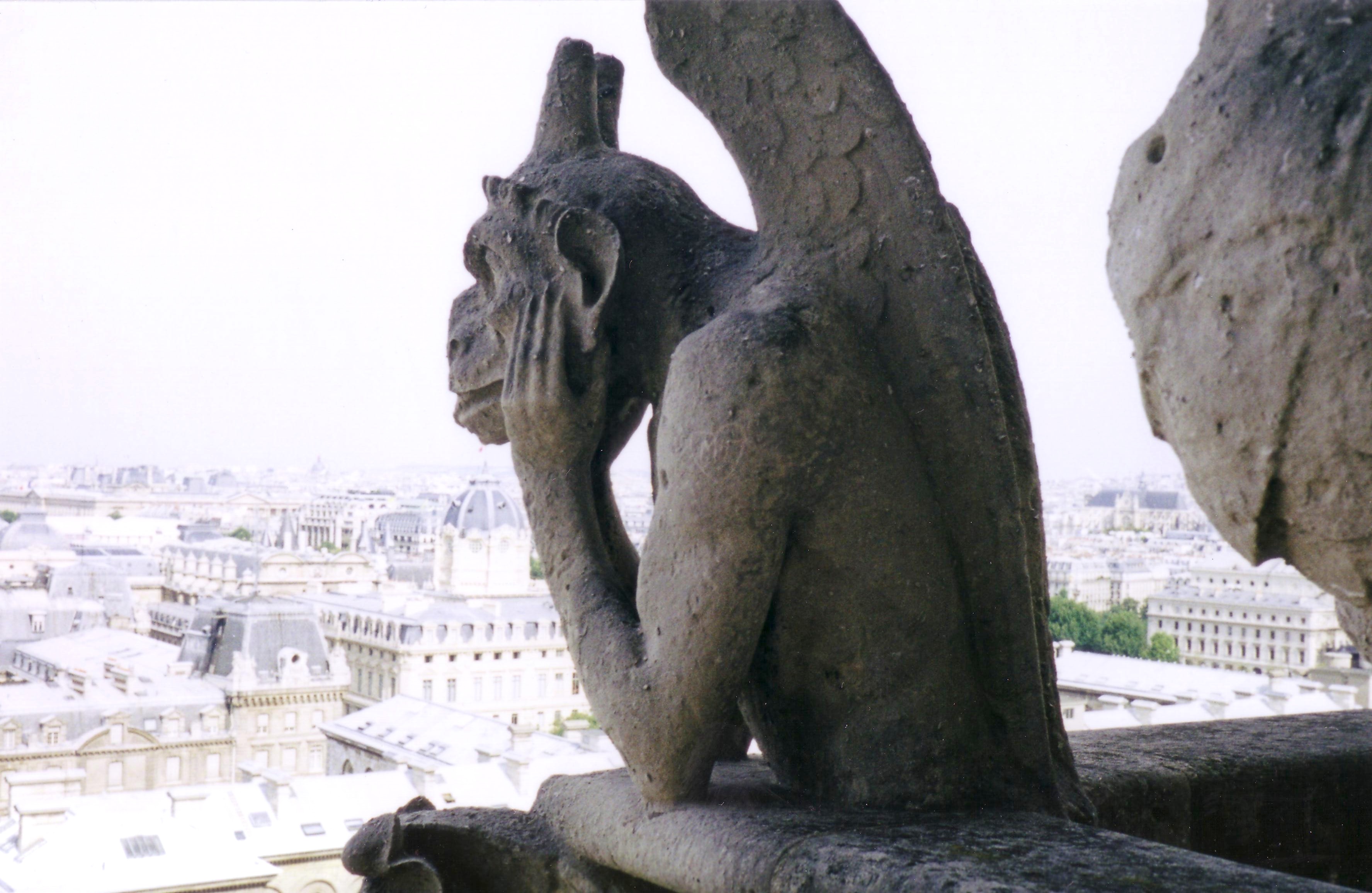 Foto: Bárbara. "La Estirga". Notre Dame, París.
